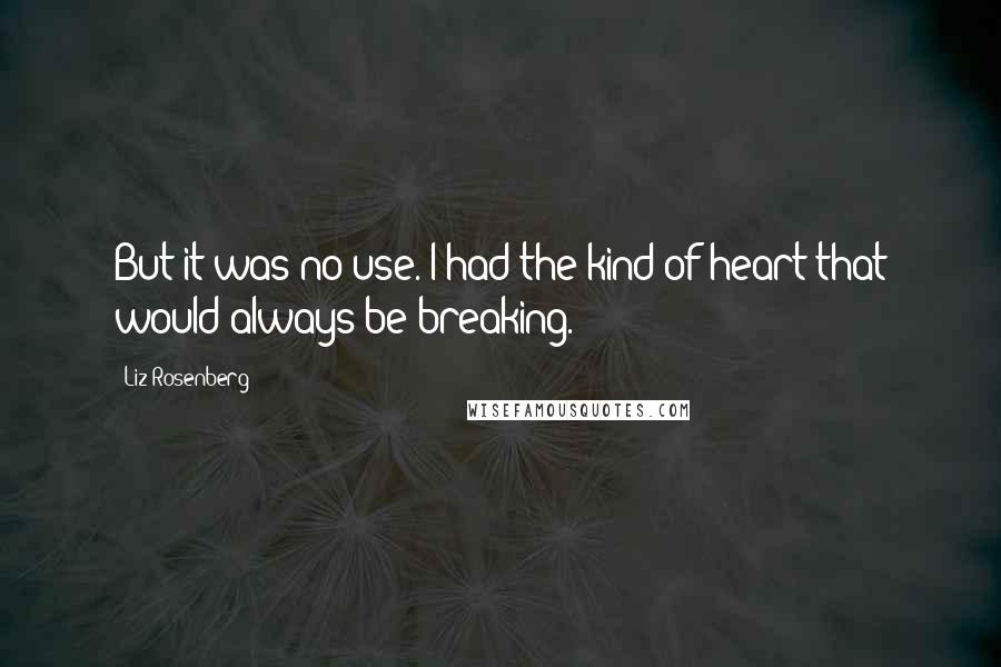 Liz Rosenberg Quotes: But it was no use. I had the kind of heart that would always be breaking.