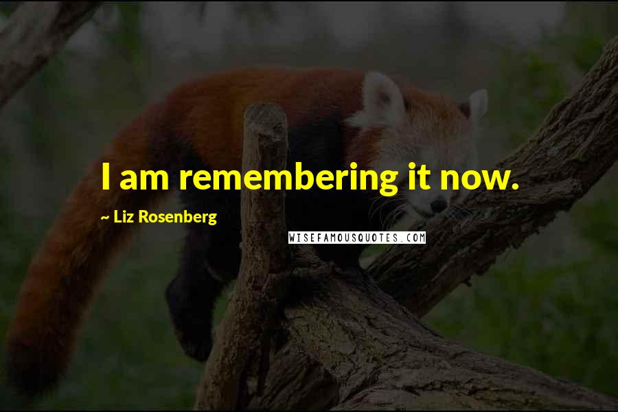 Liz Rosenberg Quotes: I am remembering it now.