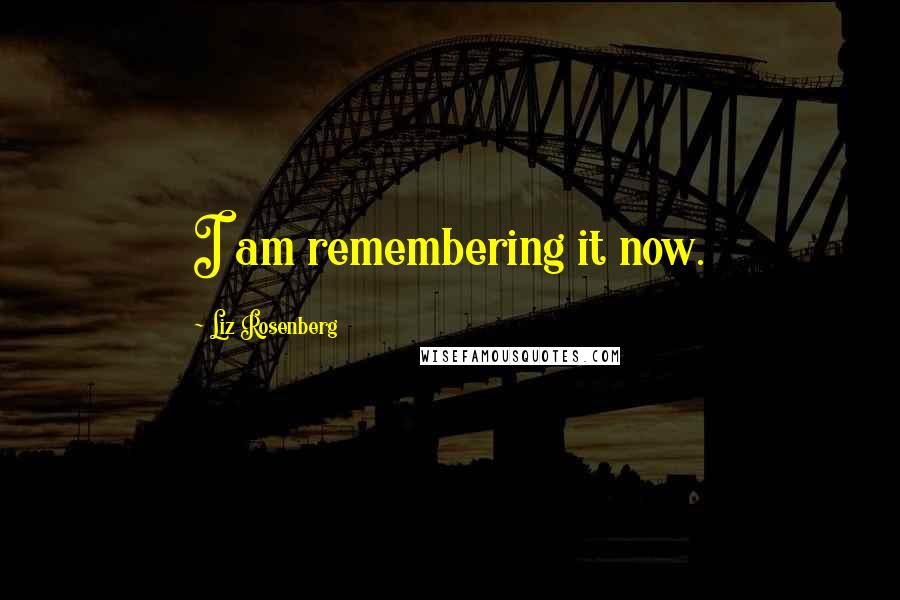 Liz Rosenberg Quotes: I am remembering it now.