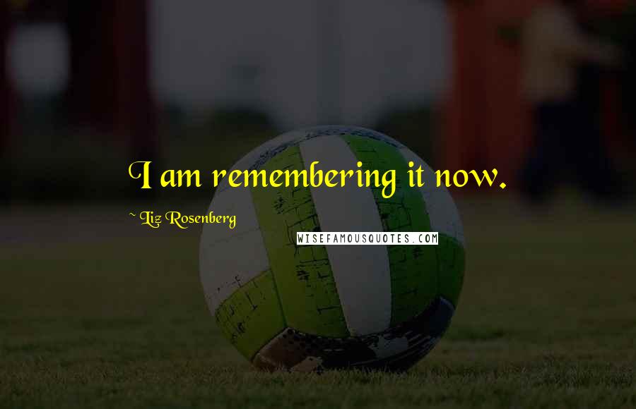 Liz Rosenberg Quotes: I am remembering it now.