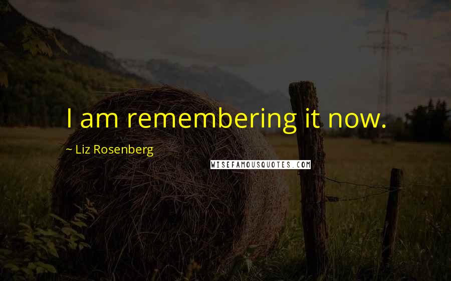 Liz Rosenberg Quotes: I am remembering it now.