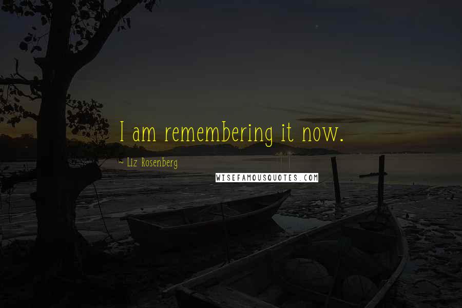 Liz Rosenberg Quotes: I am remembering it now.