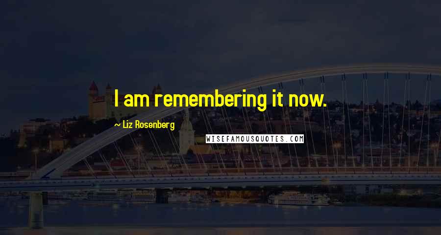 Liz Rosenberg Quotes: I am remembering it now.