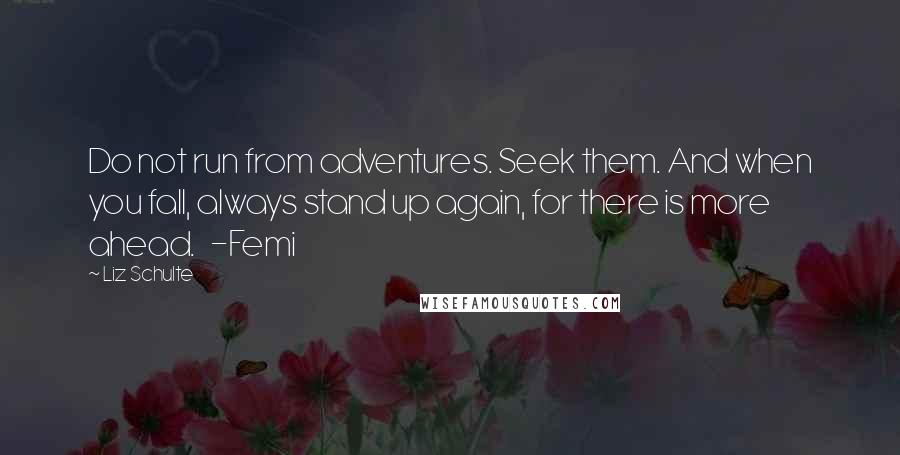 Liz Schulte Quotes: Do not run from adventures. Seek them. And when you fall, always stand up again, for there is more ahead.   -Femi