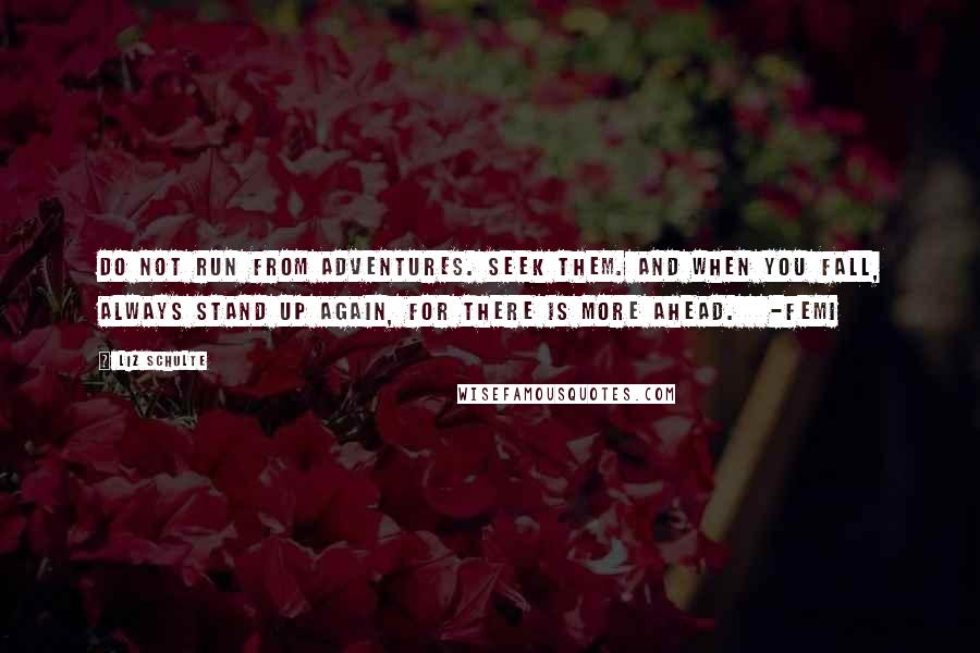 Liz Schulte Quotes: Do not run from adventures. Seek them. And when you fall, always stand up again, for there is more ahead.   -Femi