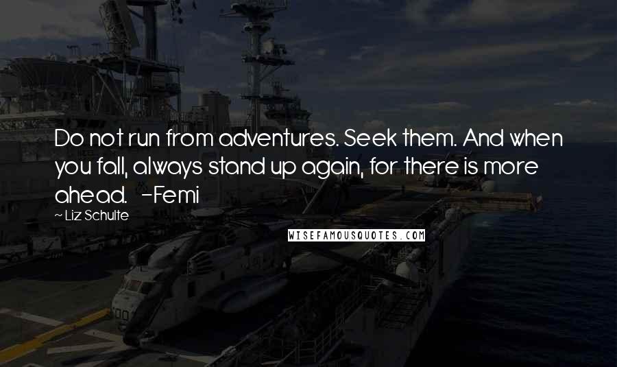 Liz Schulte Quotes: Do not run from adventures. Seek them. And when you fall, always stand up again, for there is more ahead.   -Femi