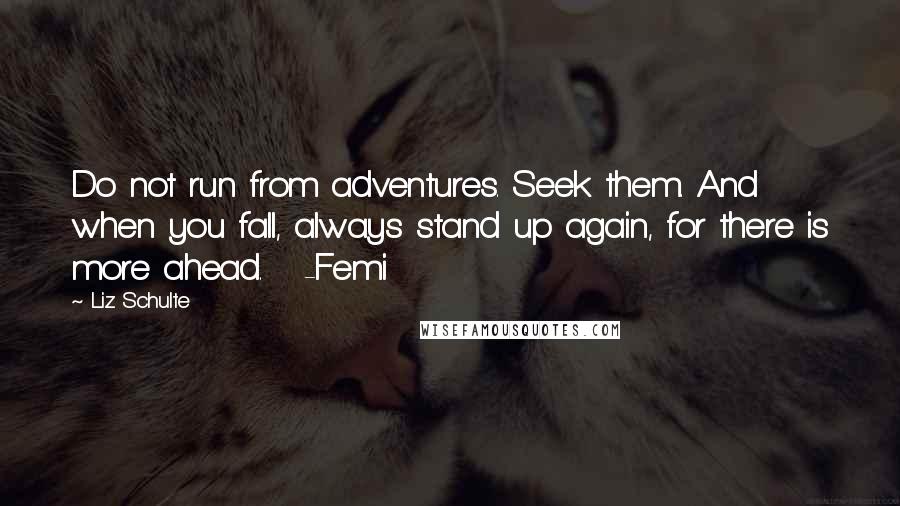 Liz Schulte Quotes: Do not run from adventures. Seek them. And when you fall, always stand up again, for there is more ahead.   -Femi