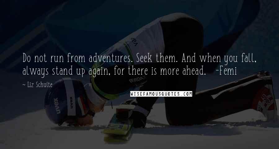 Liz Schulte Quotes: Do not run from adventures. Seek them. And when you fall, always stand up again, for there is more ahead.   -Femi