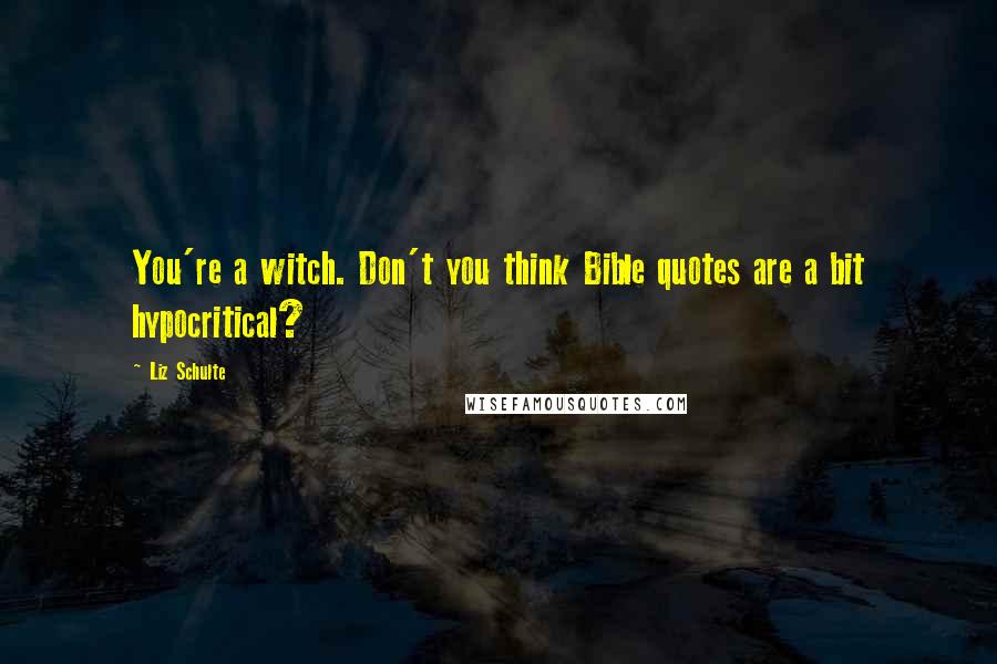 Liz Schulte Quotes: You're a witch. Don't you think Bible quotes are a bit hypocritical?