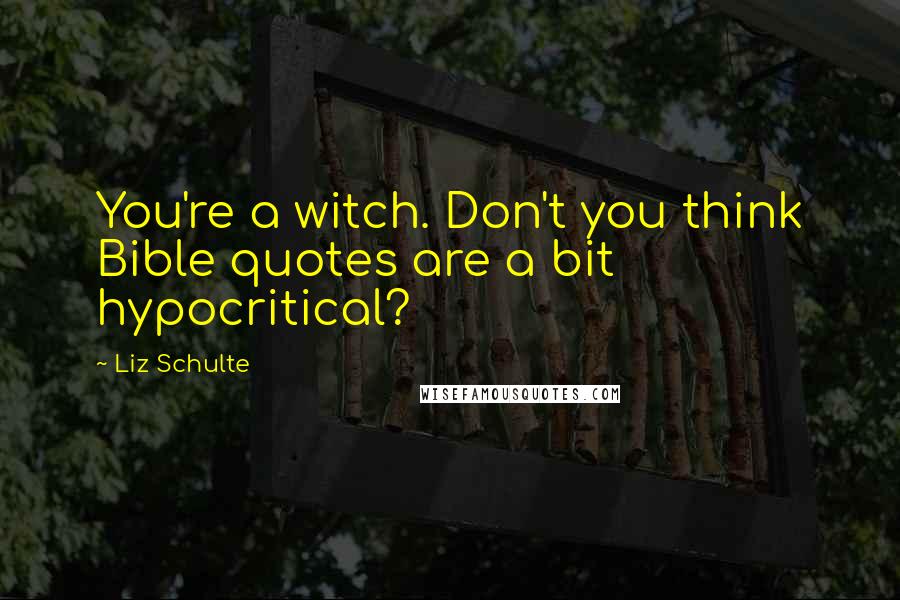 Liz Schulte Quotes: You're a witch. Don't you think Bible quotes are a bit hypocritical?