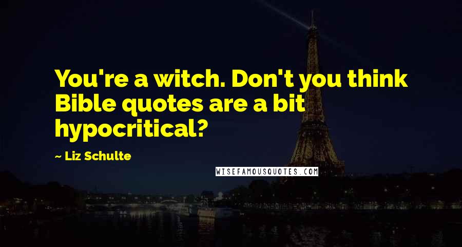 Liz Schulte Quotes: You're a witch. Don't you think Bible quotes are a bit hypocritical?