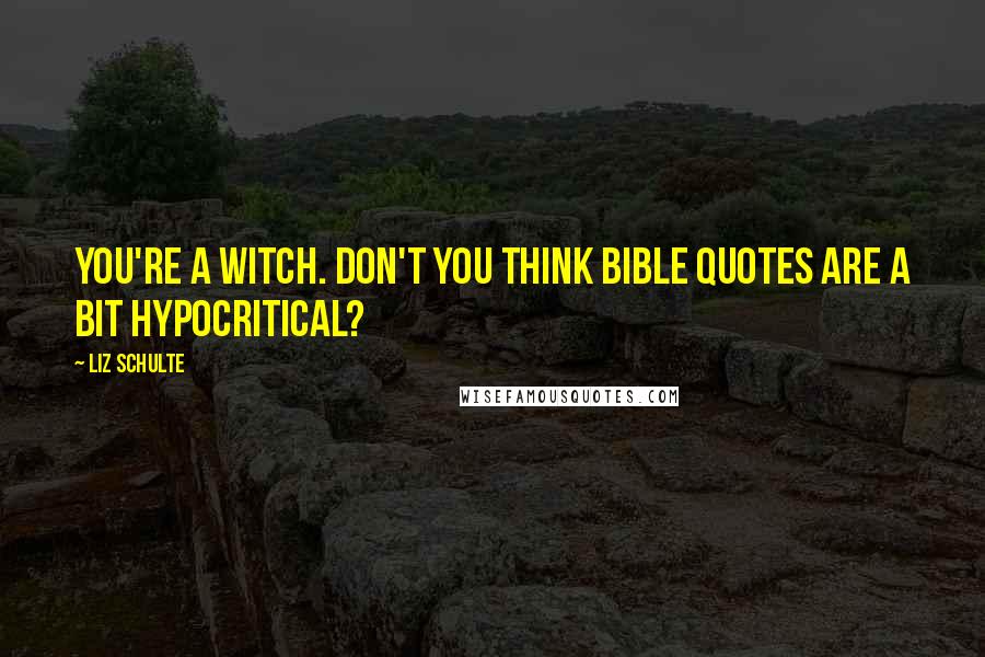 Liz Schulte Quotes: You're a witch. Don't you think Bible quotes are a bit hypocritical?