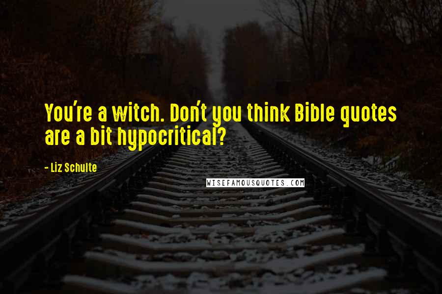 Liz Schulte Quotes: You're a witch. Don't you think Bible quotes are a bit hypocritical?