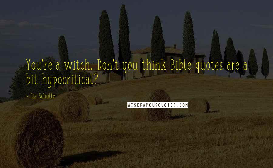 Liz Schulte Quotes: You're a witch. Don't you think Bible quotes are a bit hypocritical?