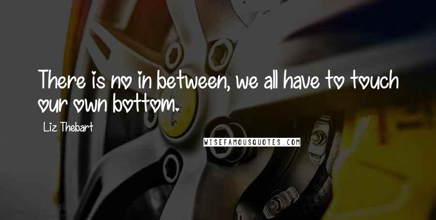 Liz Thebart Quotes: There is no in between, we all have to touch our own bottom.