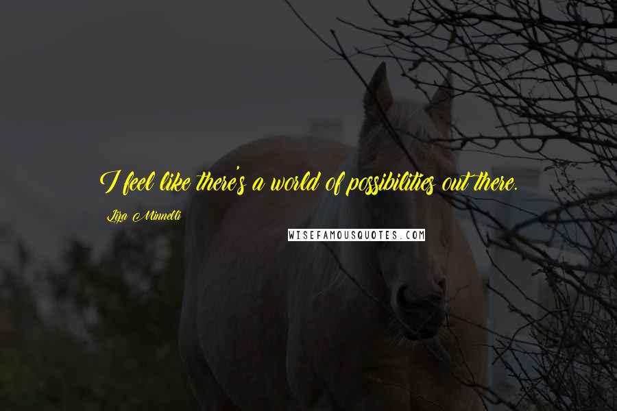 Liza Minnelli Quotes: I feel like there's a world of possibilities out there.
