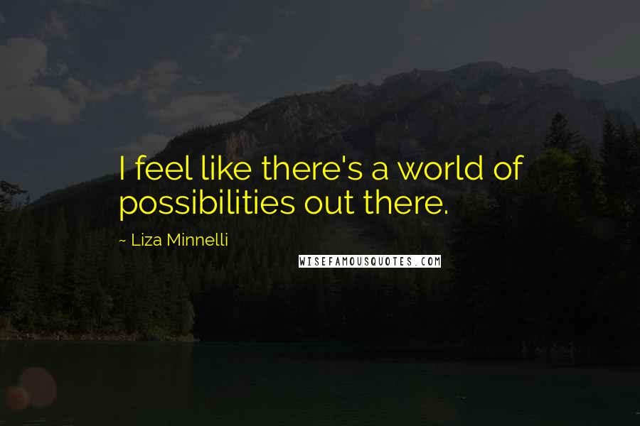 Liza Minnelli Quotes: I feel like there's a world of possibilities out there.