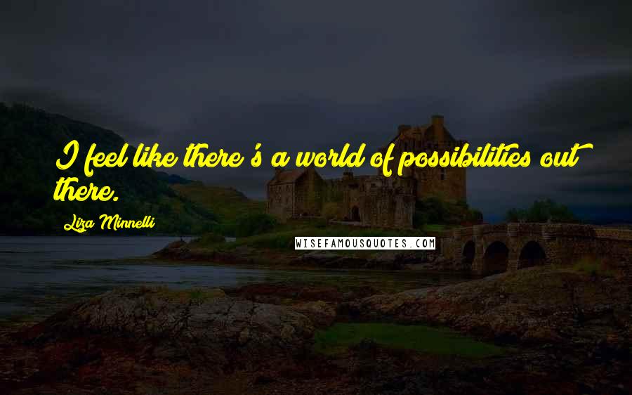 Liza Minnelli Quotes: I feel like there's a world of possibilities out there.