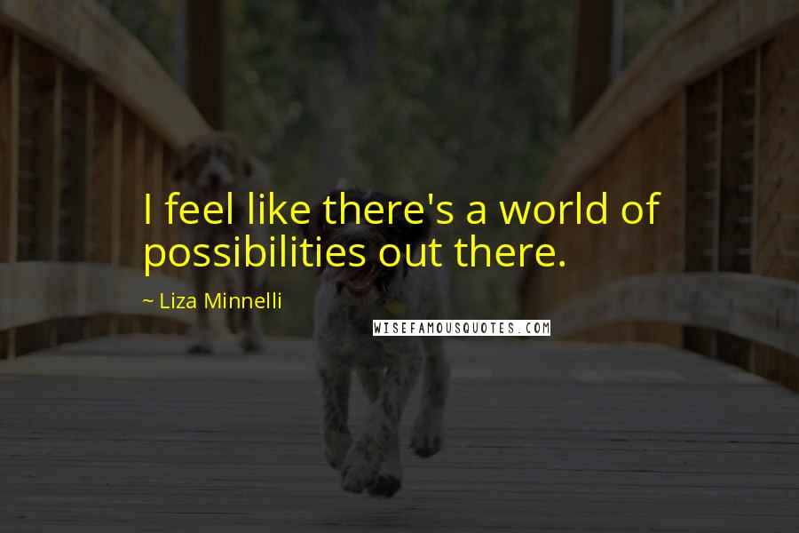 Liza Minnelli Quotes: I feel like there's a world of possibilities out there.