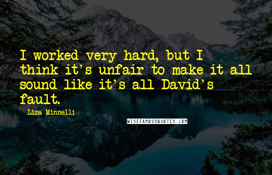 Liza Minnelli Quotes: I worked very hard, but I think it's unfair to make it all sound like it's all David's fault.
