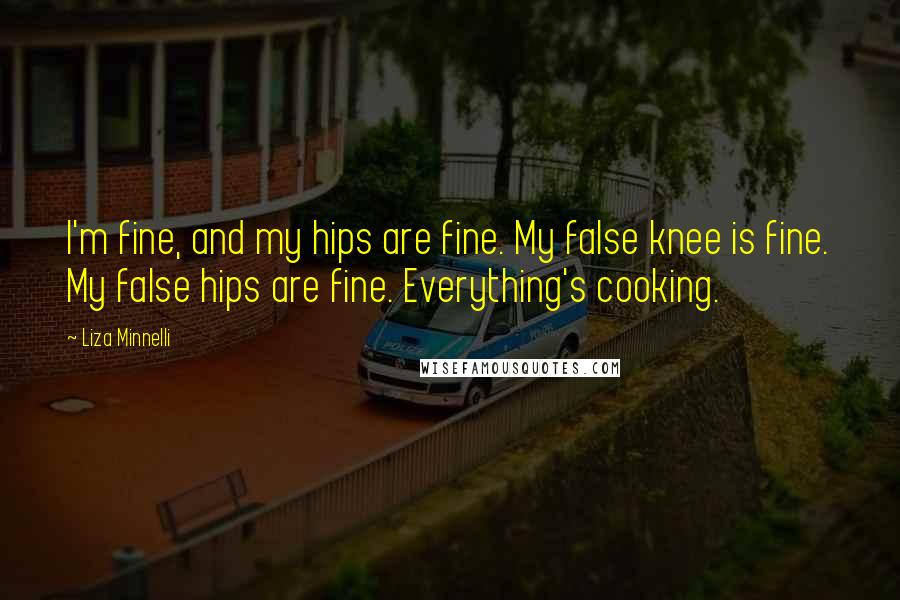 Liza Minnelli Quotes: I'm fine, and my hips are fine. My false knee is fine. My false hips are fine. Everything's cooking.