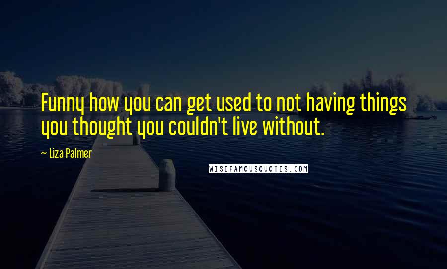 Liza Palmer Quotes: Funny how you can get used to not having things you thought you couldn't live without.