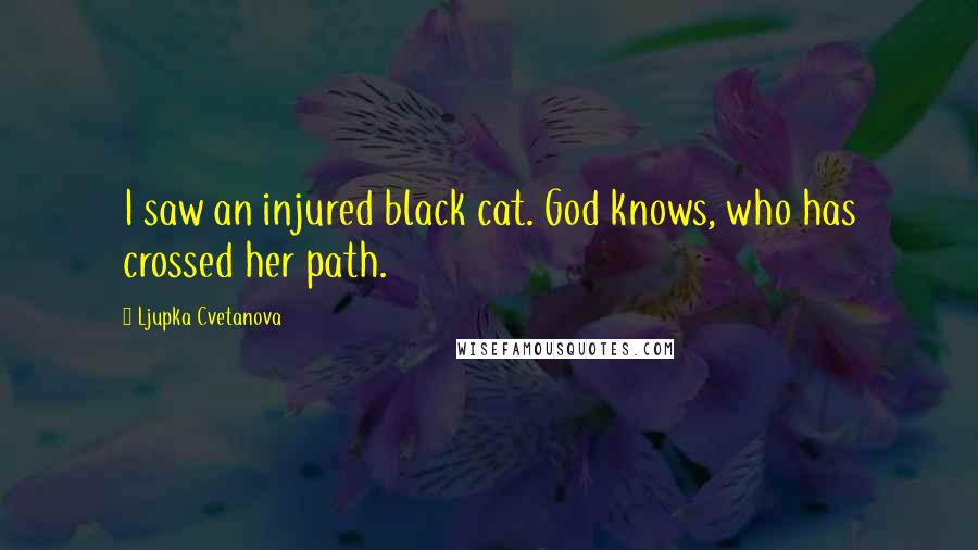 Ljupka Cvetanova Quotes: I saw an injured black cat. God knows, who has crossed her path.