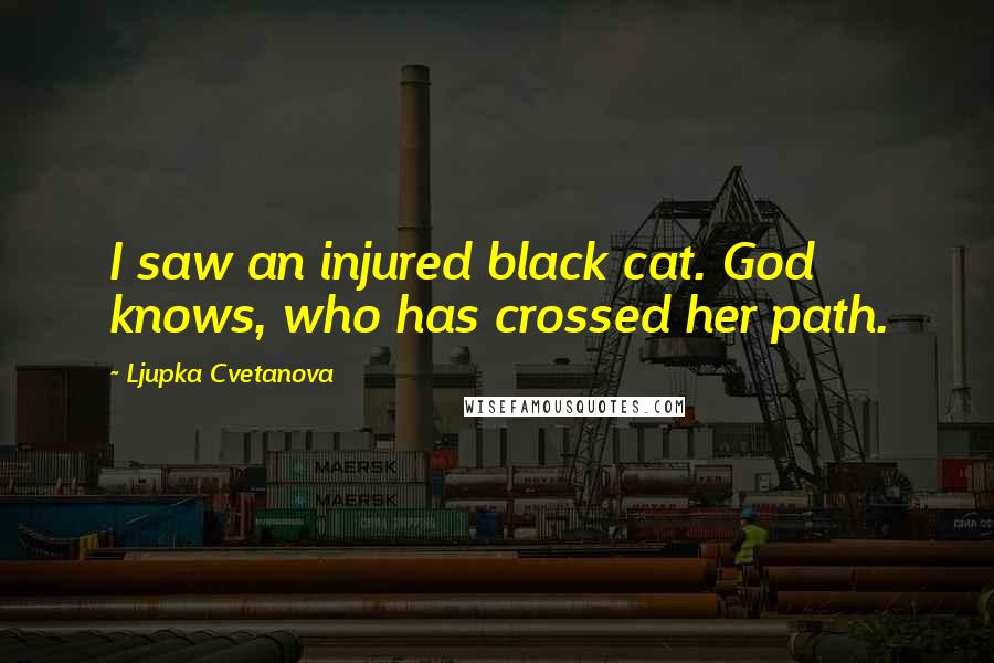 Ljupka Cvetanova Quotes: I saw an injured black cat. God knows, who has crossed her path.