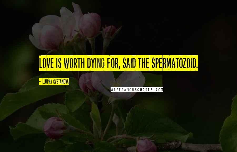 Ljupka Cvetanova Quotes: Love is worth dying for, said the spermatozoid.