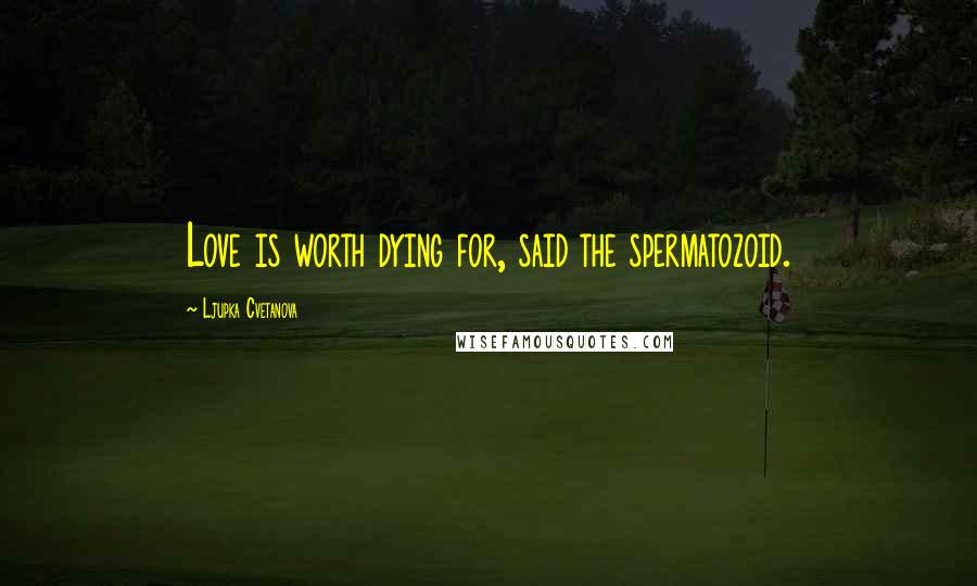 Ljupka Cvetanova Quotes: Love is worth dying for, said the spermatozoid.