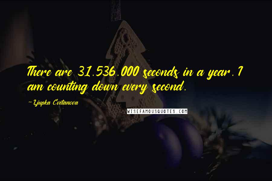 Ljupka Cvetanova Quotes: There are 31.536.000 seconds in a year. I am counting down every second.