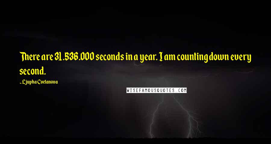 Ljupka Cvetanova Quotes: There are 31.536.000 seconds in a year. I am counting down every second.