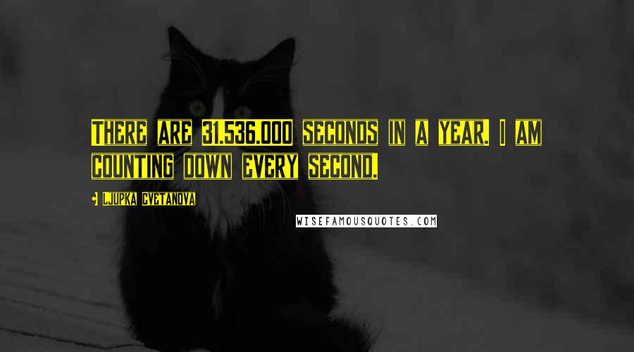 Ljupka Cvetanova Quotes: There are 31.536.000 seconds in a year. I am counting down every second.