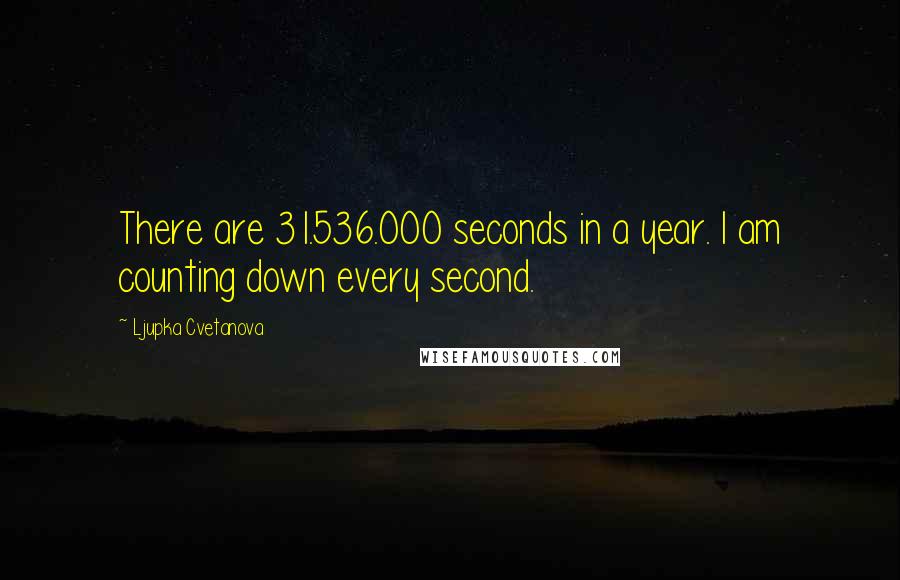 Ljupka Cvetanova Quotes: There are 31.536.000 seconds in a year. I am counting down every second.