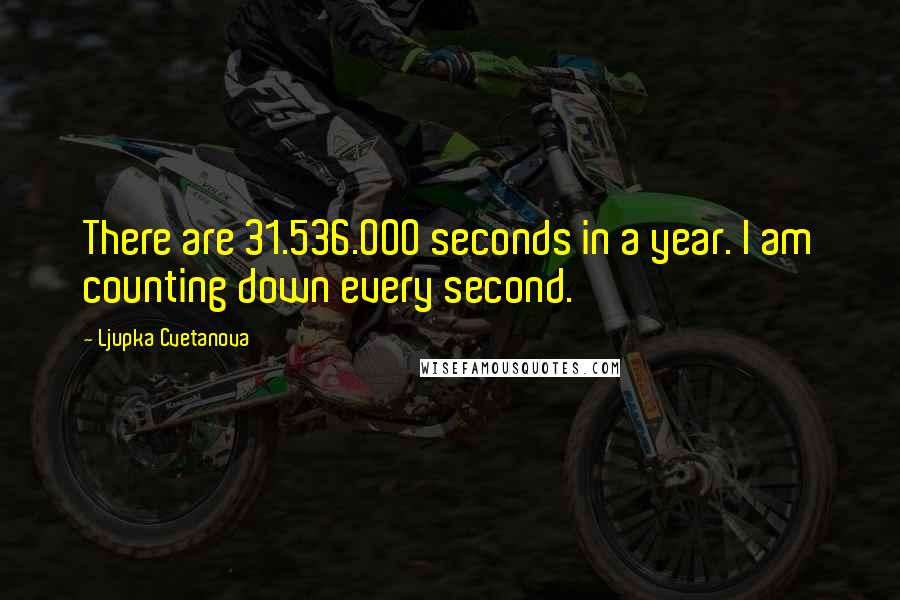 Ljupka Cvetanova Quotes: There are 31.536.000 seconds in a year. I am counting down every second.
