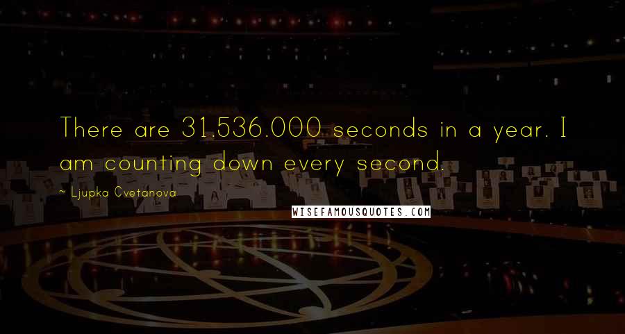 Ljupka Cvetanova Quotes: There are 31.536.000 seconds in a year. I am counting down every second.