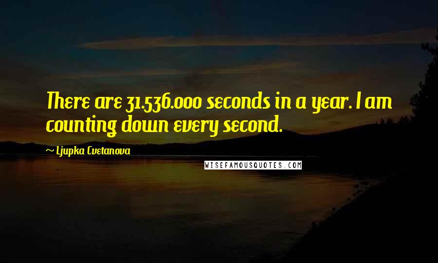 Ljupka Cvetanova Quotes: There are 31.536.000 seconds in a year. I am counting down every second.