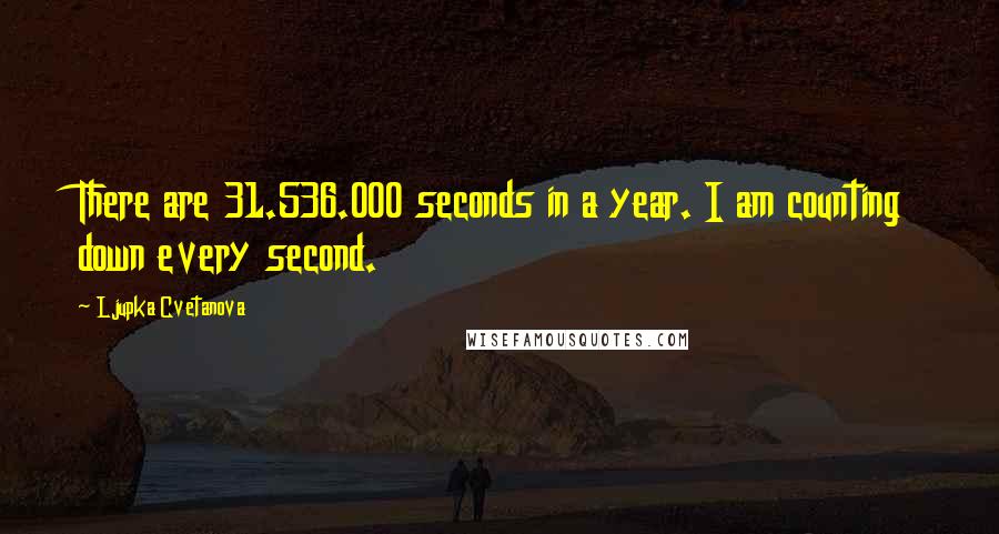 Ljupka Cvetanova Quotes: There are 31.536.000 seconds in a year. I am counting down every second.