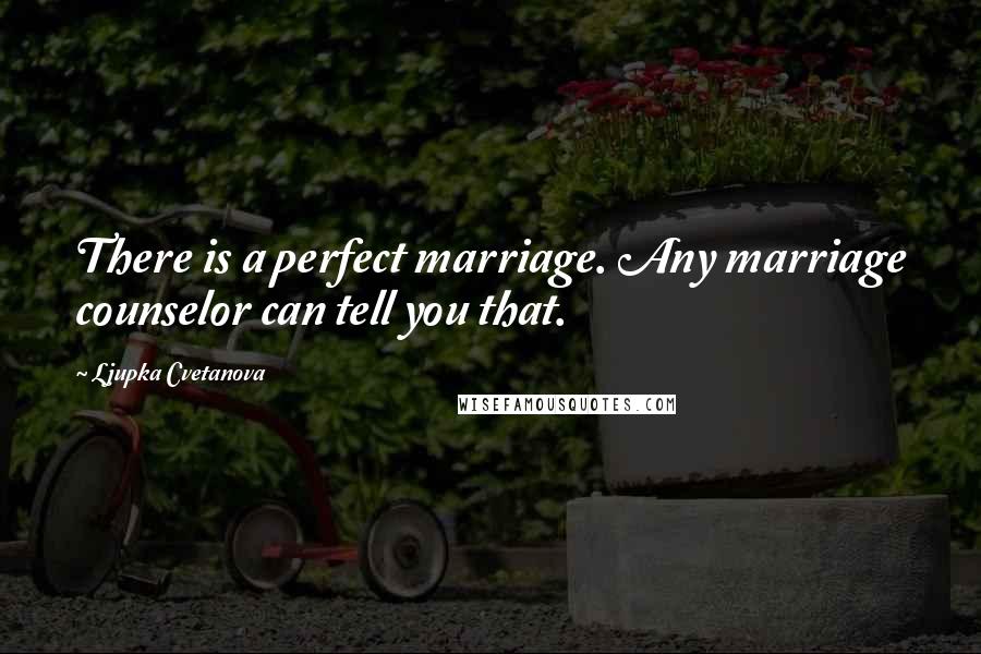 Ljupka Cvetanova Quotes: There is a perfect marriage. Any marriage counselor can tell you that.