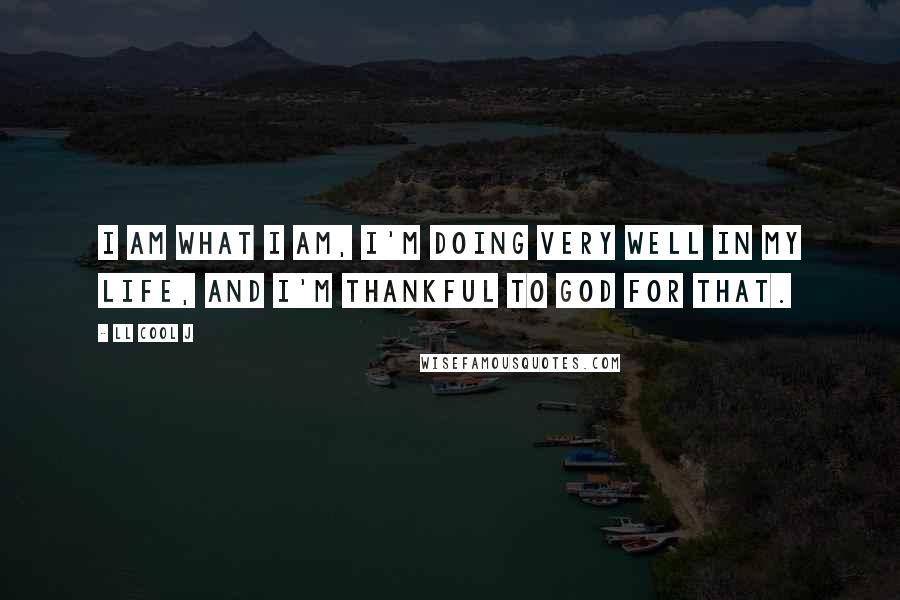 LL Cool J Quotes: I am what I am, I'm doing very well in my life, and I'm thankful to God for that.