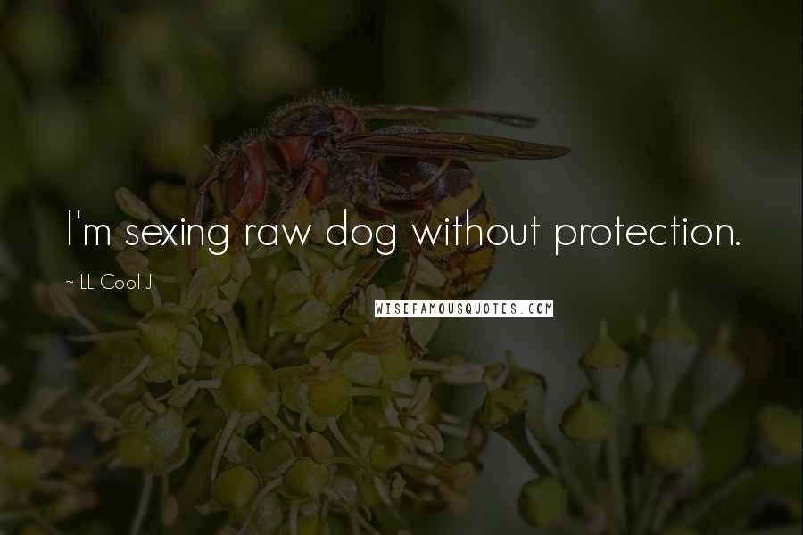 LL Cool J Quotes: I'm sexing raw dog without protection.