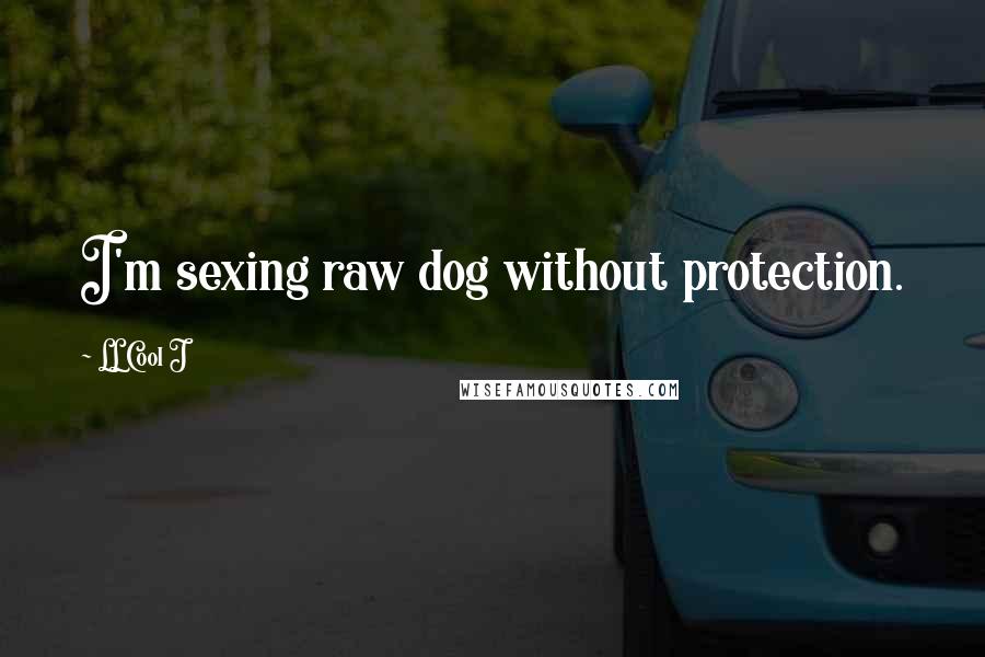 LL Cool J Quotes: I'm sexing raw dog without protection.