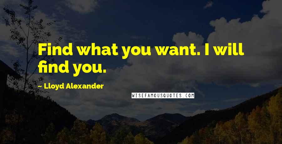 Lloyd Alexander Quotes: Find what you want. I will find you.