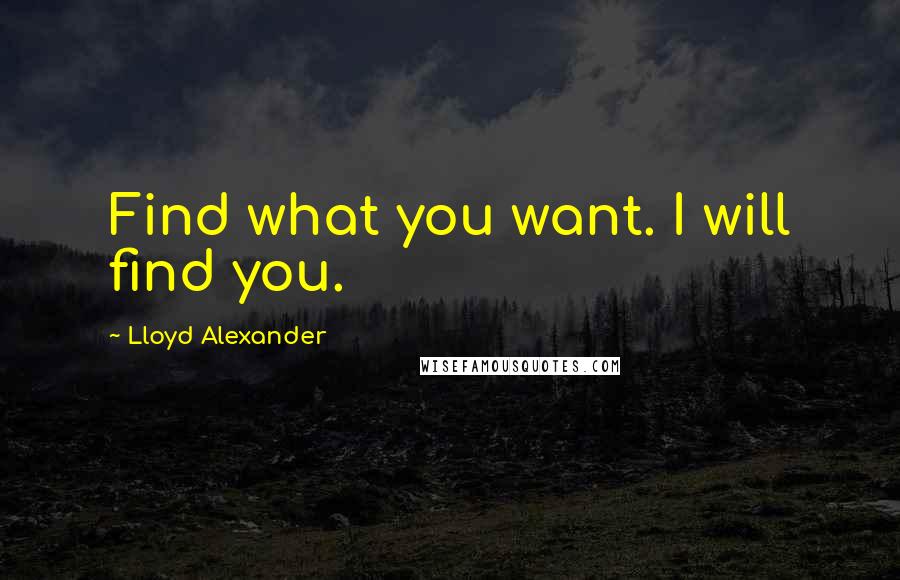 Lloyd Alexander Quotes: Find what you want. I will find you.