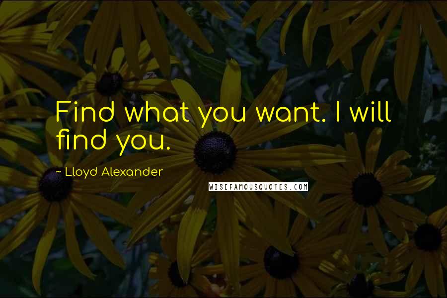 Lloyd Alexander Quotes: Find what you want. I will find you.