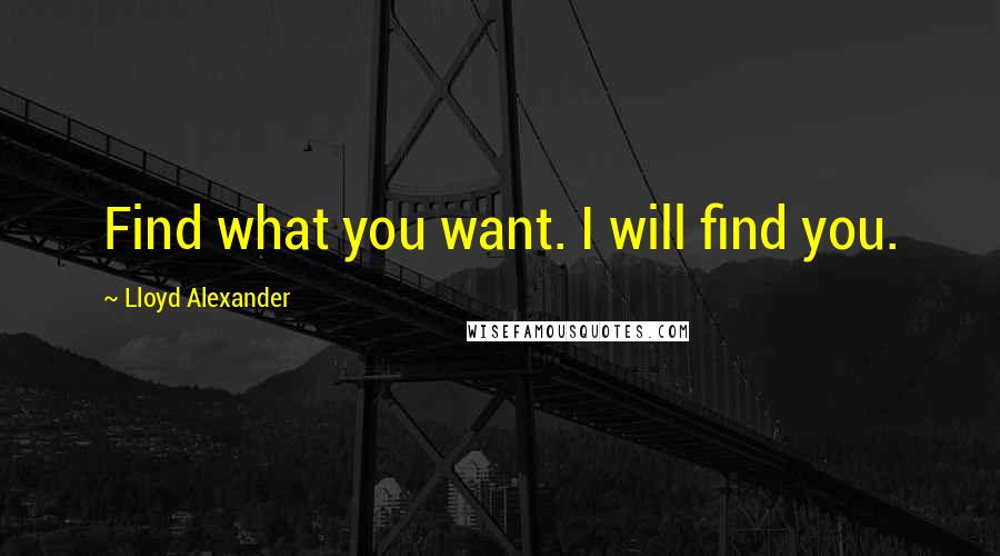 Lloyd Alexander Quotes: Find what you want. I will find you.