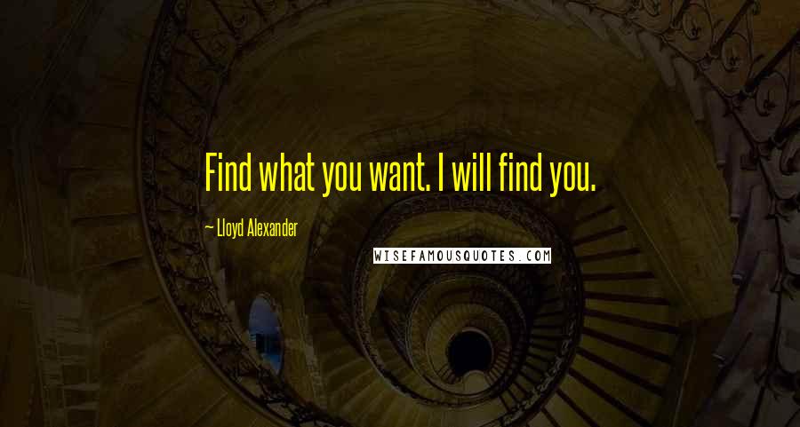 Lloyd Alexander Quotes: Find what you want. I will find you.