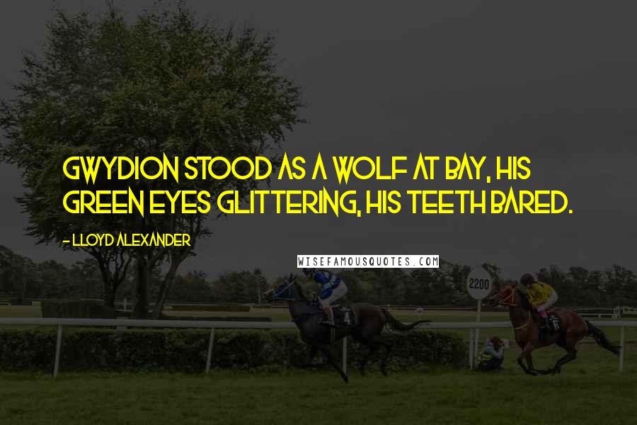 Lloyd Alexander Quotes: Gwydion stood as a wolf at bay, his green eyes glittering, his teeth bared.