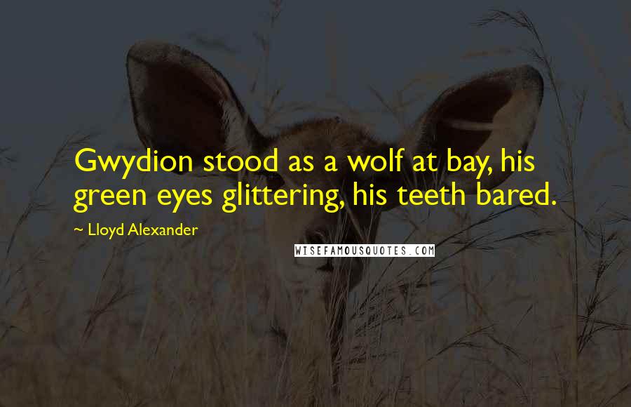 Lloyd Alexander Quotes: Gwydion stood as a wolf at bay, his green eyes glittering, his teeth bared.