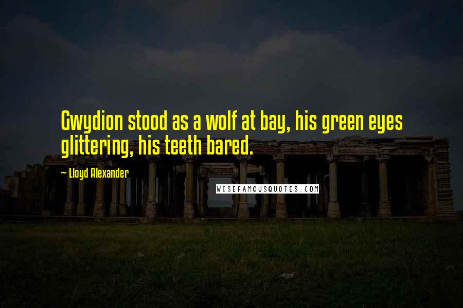 Lloyd Alexander Quotes: Gwydion stood as a wolf at bay, his green eyes glittering, his teeth bared.